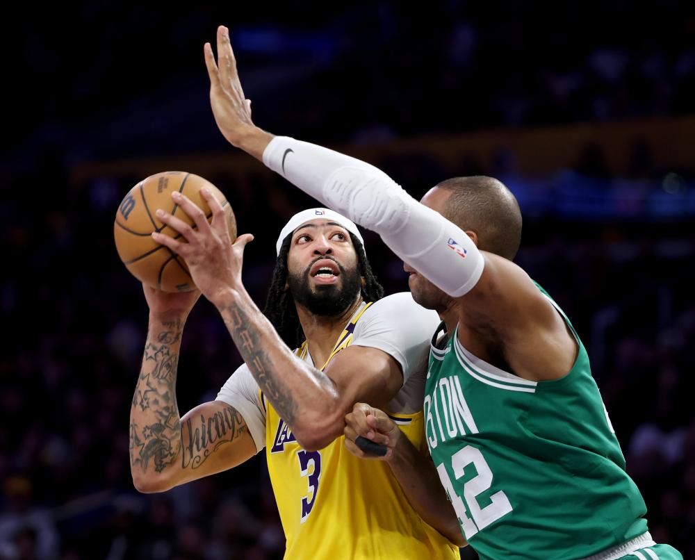 的激情与智 的激情与智